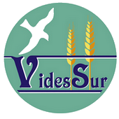 videssurlogo